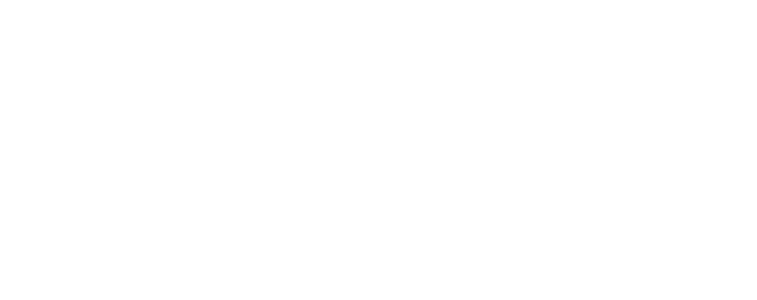 Digital Media Institute (DMI)